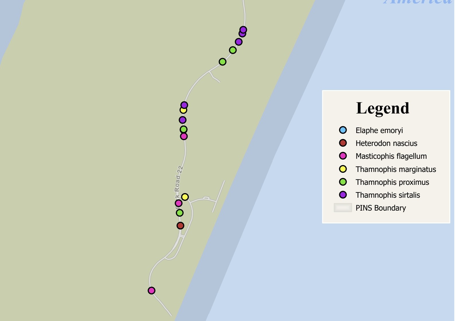 Image showing colorful dots on a map representing snake roadkill locations